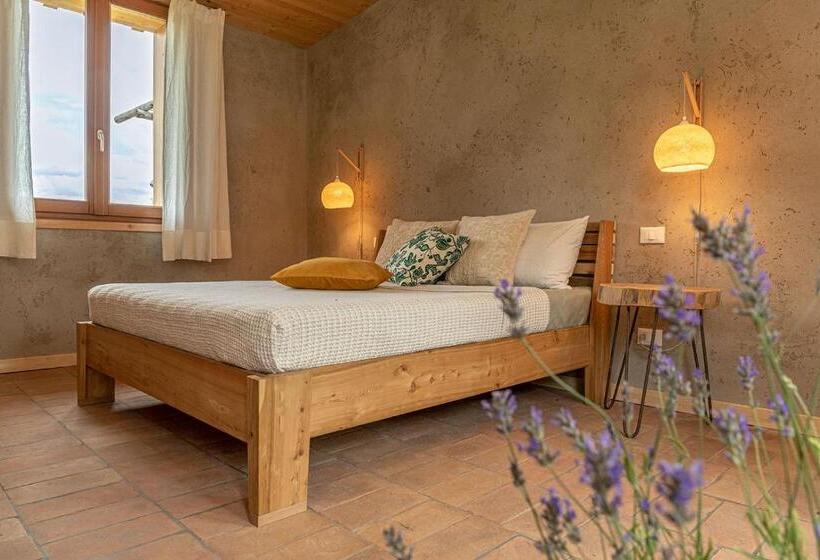 Семейный Номер, Casa Viva