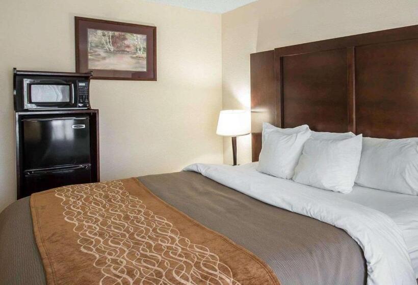 キングサイズベッドのスタンダードルーム, Comfort Inn & Suites At I 85