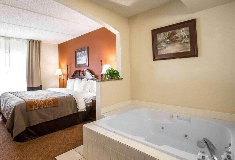 キングサイズベッドのスイートルーム, Comfort Inn & Suites At I 85