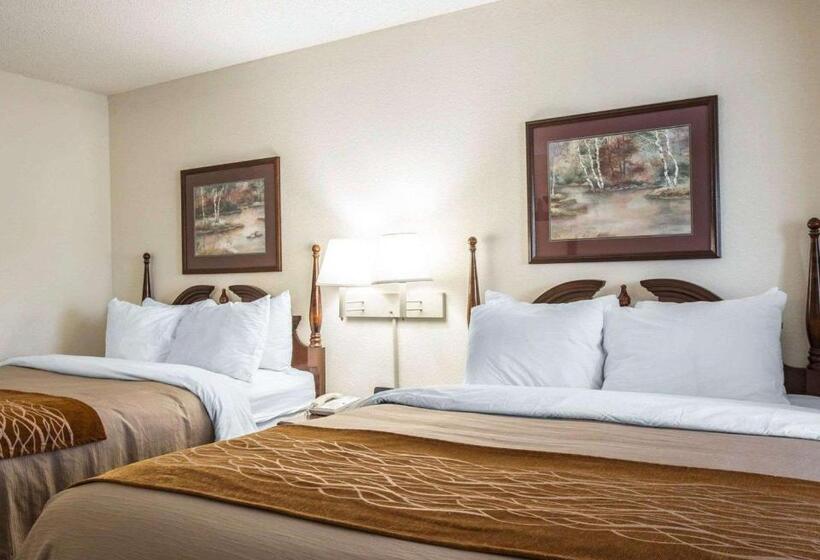 身障者適用スイートルーム, Comfort Inn & Suites At I 85