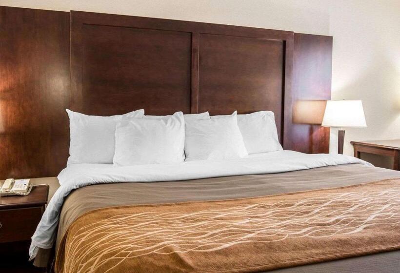 身障者適用キングサイズベッドルーム, Comfort Inn & Suites At I 85