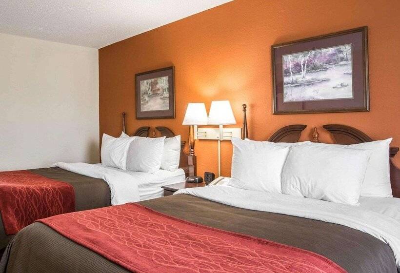 身障者適用スイートルーム, Comfort Inn & Suites At I 85