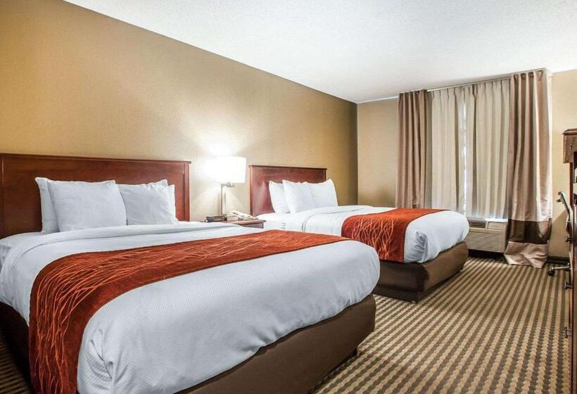 스탠다드 룸, Comfort Inn & Suites Carneys Point