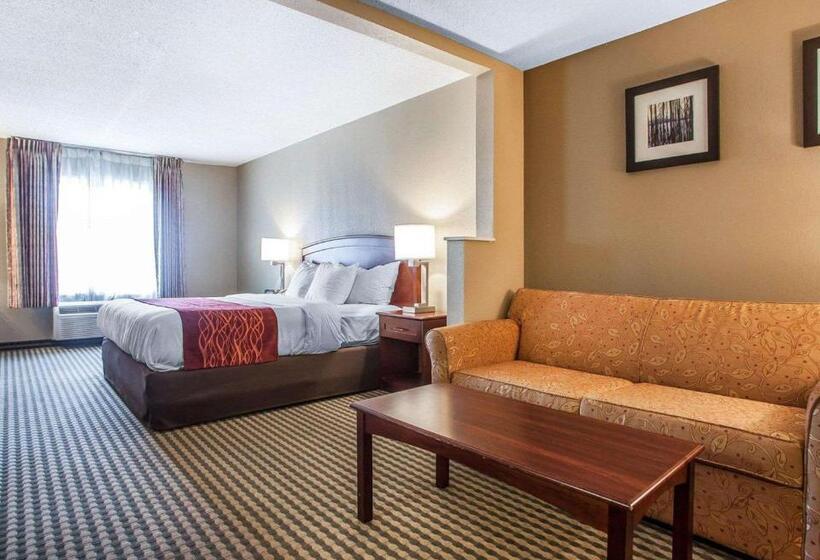 جناح سرير كينج, Comfort Inn & Suites Carneys Point