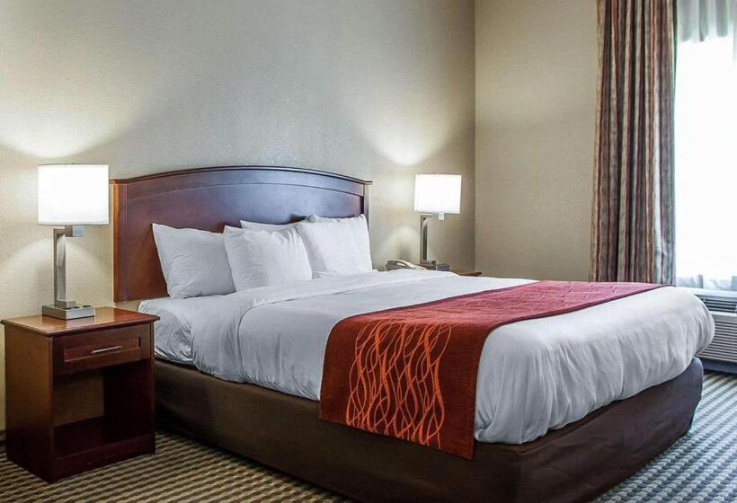 장애인을 위한 스탠다드 룸, Comfort Inn & Suites Carneys Point