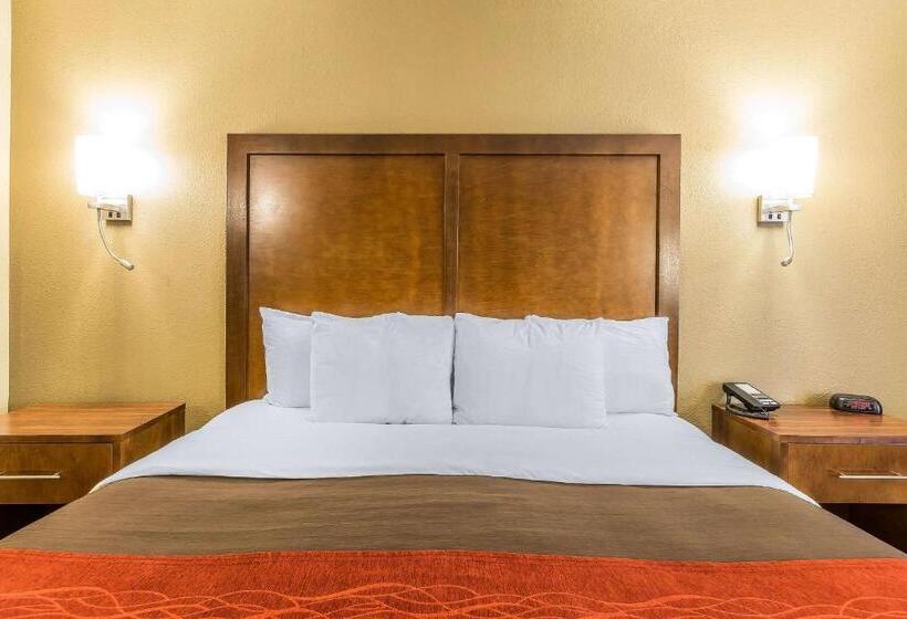 스탠다드 룸 킹사이즈 침대, Comfort Inn & Suites