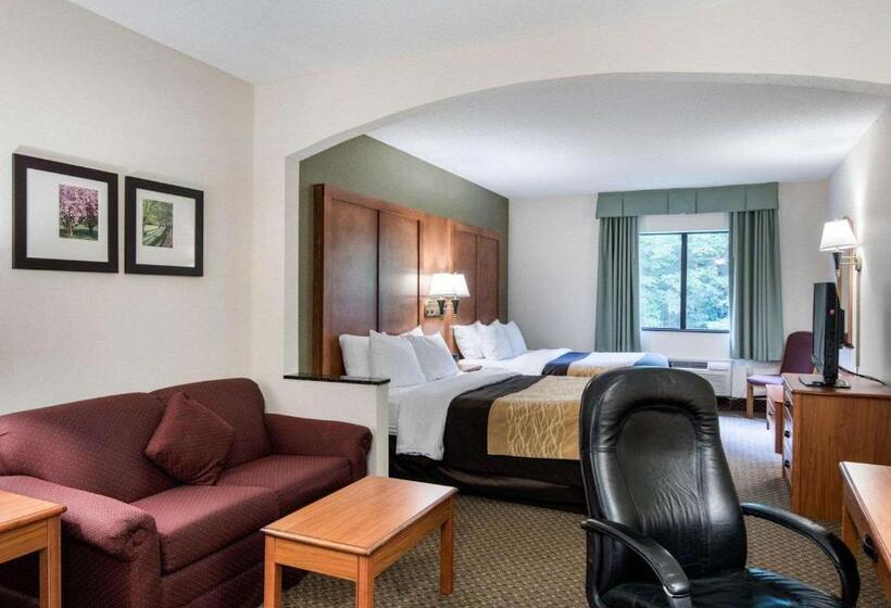 스위트, Comfort Inn & Suites Lavale  Cumberland
