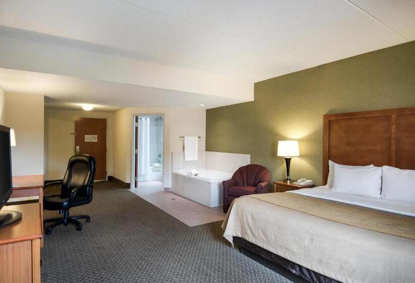 스탠다드 룸 킹사이즈 침대, Comfort Inn & Suites Lavale  Cumberland