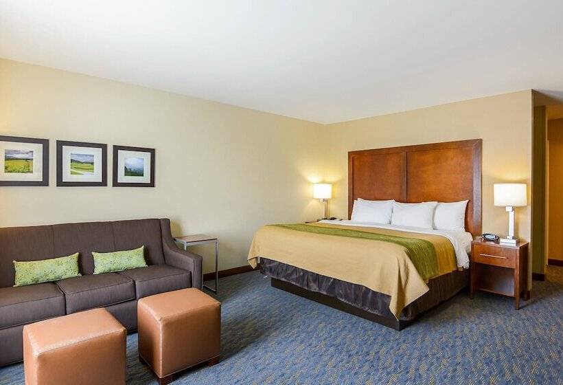 Люкс Адаптированный для Инвалидов, Comfort Inn Woodstock Shenandoah