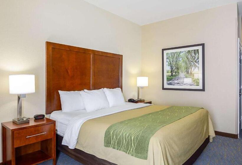 Стандартный Номер Кровать Кинг, Comfort Inn Woodstock Shenandoah