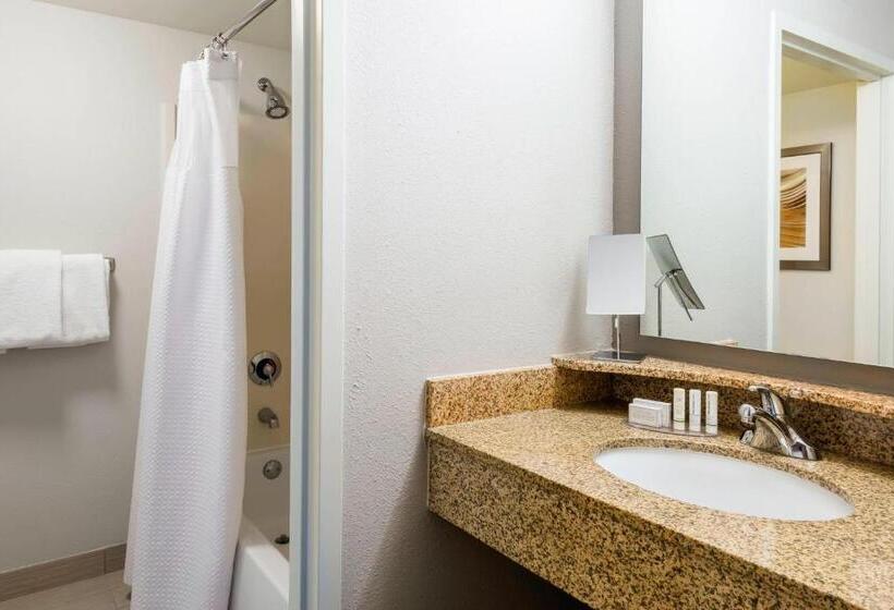 StandaardKamer, Courtyard By Marriott Chattanooga Downtown