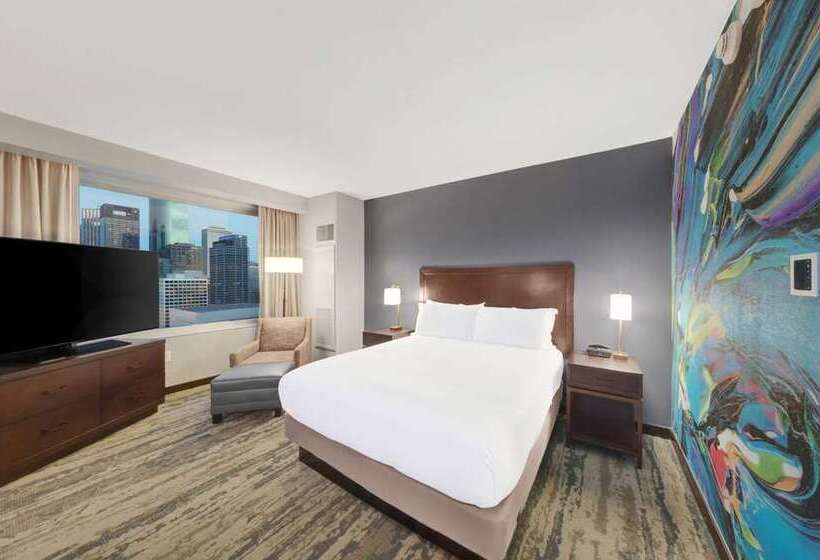 Habitación Estándar Cama King, Hilton Americashouston