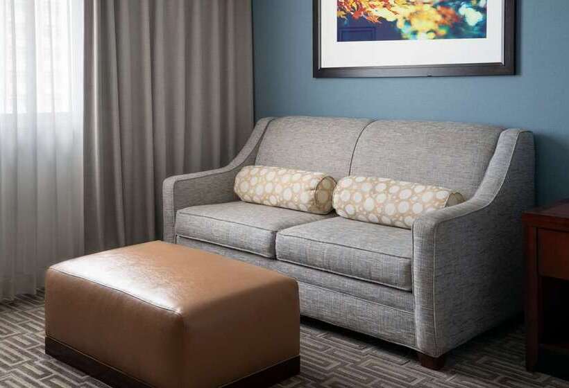 Standard-huone King-vuode, Hilton Americashouston