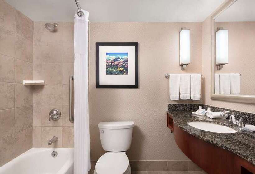 Habitación Estándar Cama King, Hilton Americashouston