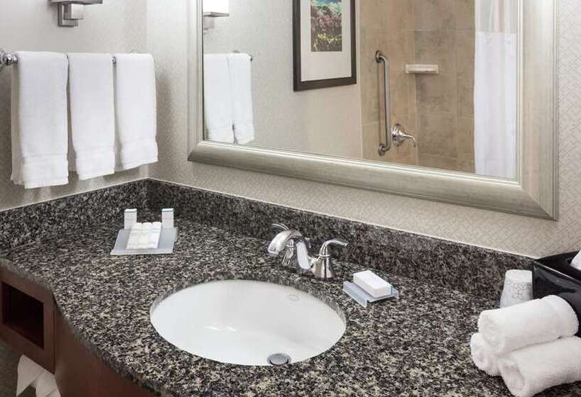 Habitación Estándar Cama King, Hilton Americashouston