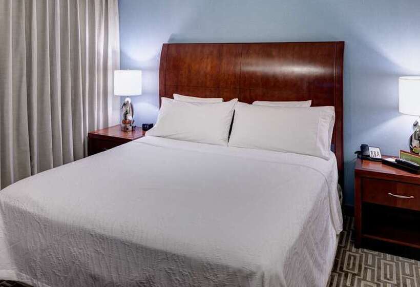 Standard-huone King-vuode, Hilton Americashouston