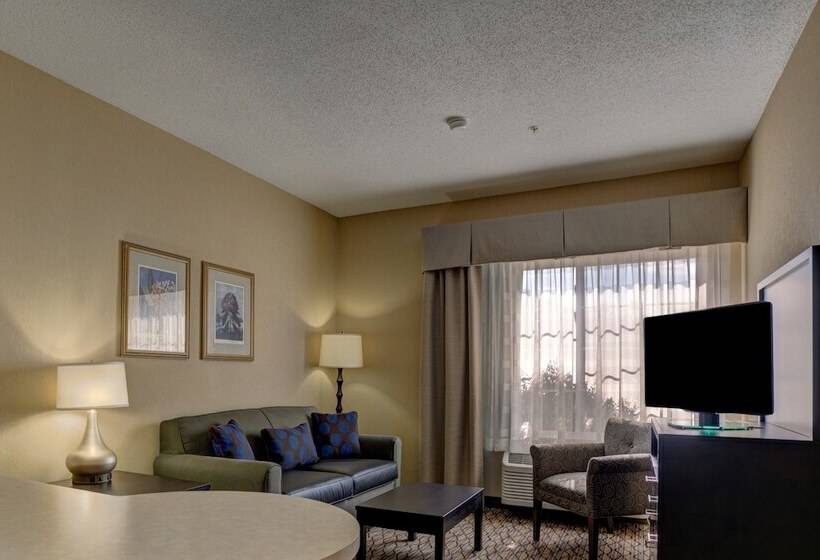 标准间, Holiday Inn Milwaukee Airport, An Ihg
