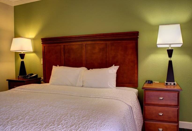 اتاق استاندارد با تخت بزرگ, Hampton Inn Daytona Speedway