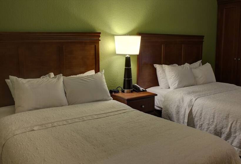 اتاق استاندارد با 2 تخت دوبل, Hampton Inn Daytona Speedway