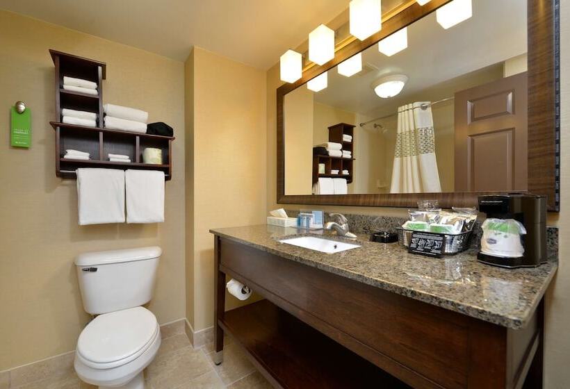 Люкс, Hampton Inn East Aurora