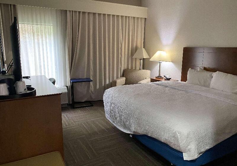 带大床的标准间, Hampton Inn Ft. Chiswell Max Meadows