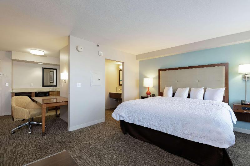 キングサイズベッドのスイートルーム, Hampton Inn & Suites Austinairport