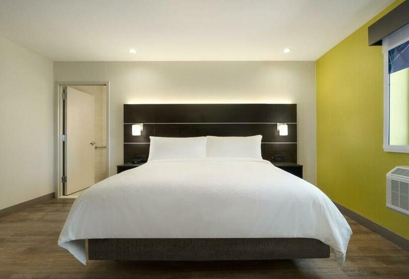 Quarto Estandar Cama King para Deficientes Físicos, Holiday Inn Express   Jamaica   Jfk Airtrain   Nyc, An Ihg