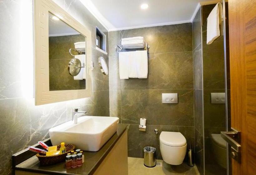 سوییت با چشم‌انداز باغ, Green Beyza Suites