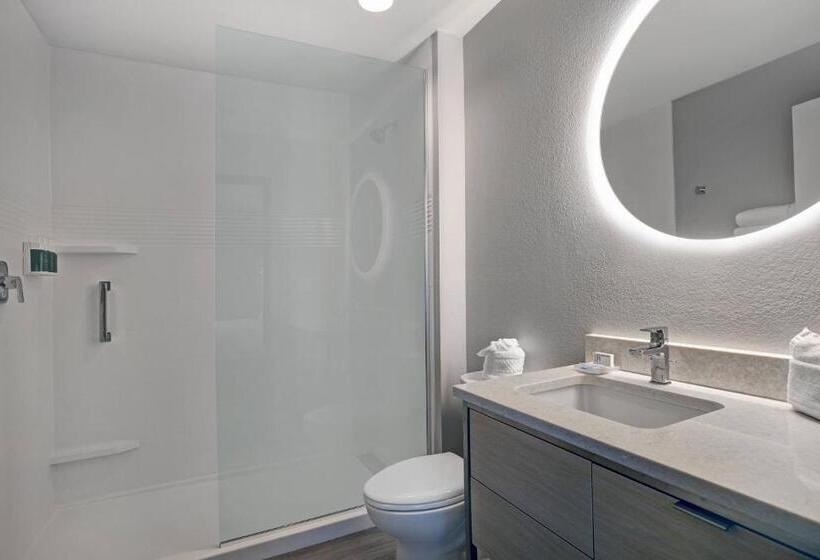Студия Стандарт, Towneplace Suites By Marriott Phoenix Glendale Sports & Entertainment District