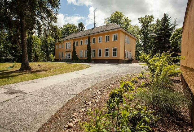 Номер Стандарт Индивидуальный, Waldsee Hotel Am Wirchensee