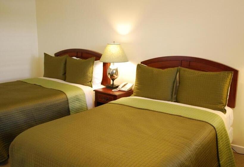 带2个双人床的标准工作室, Bella Capri Inn And Suites
