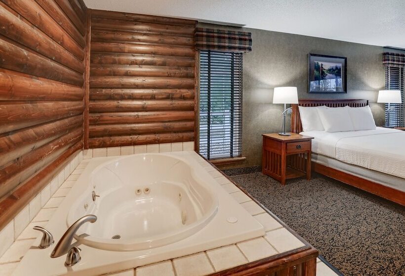 Люкс Superior, Stoney Creek Hotel Des Moines   Johnston
