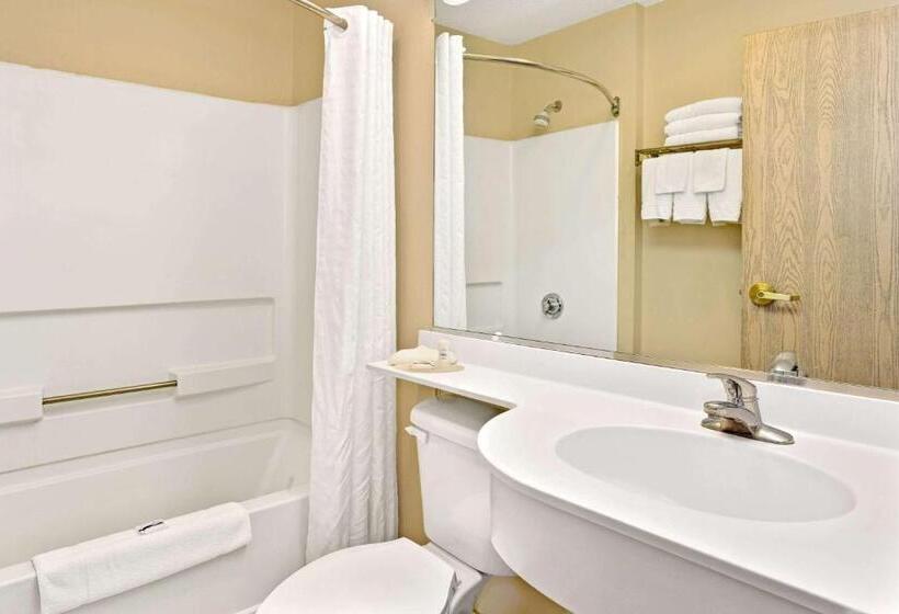 اتاق استاندارد, Microtel Inn & Suites By Wyndham Florence/cincinnati Airpo