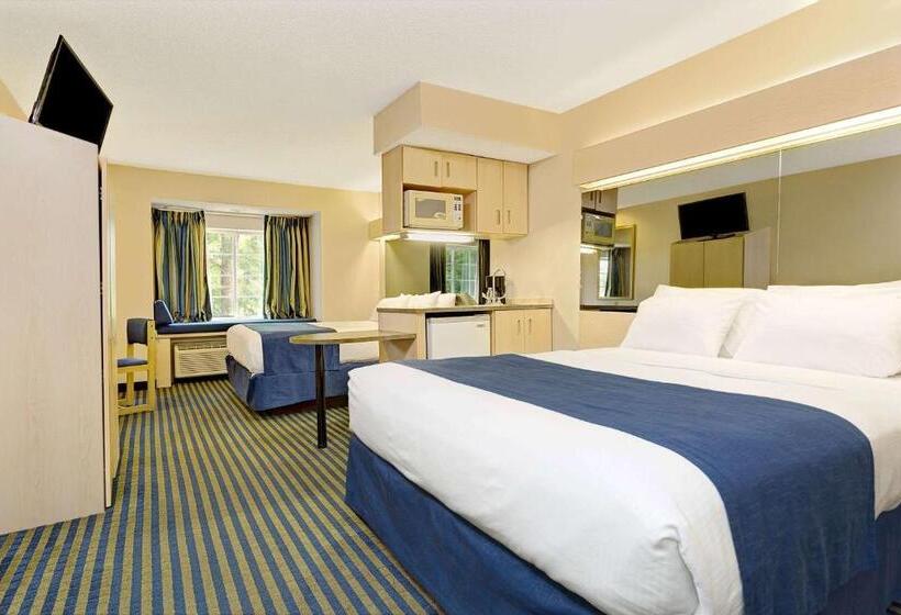 استودیوی استاندارد, Microtel Inn & Suites By Wyndham Florence/cincinnati Airpo