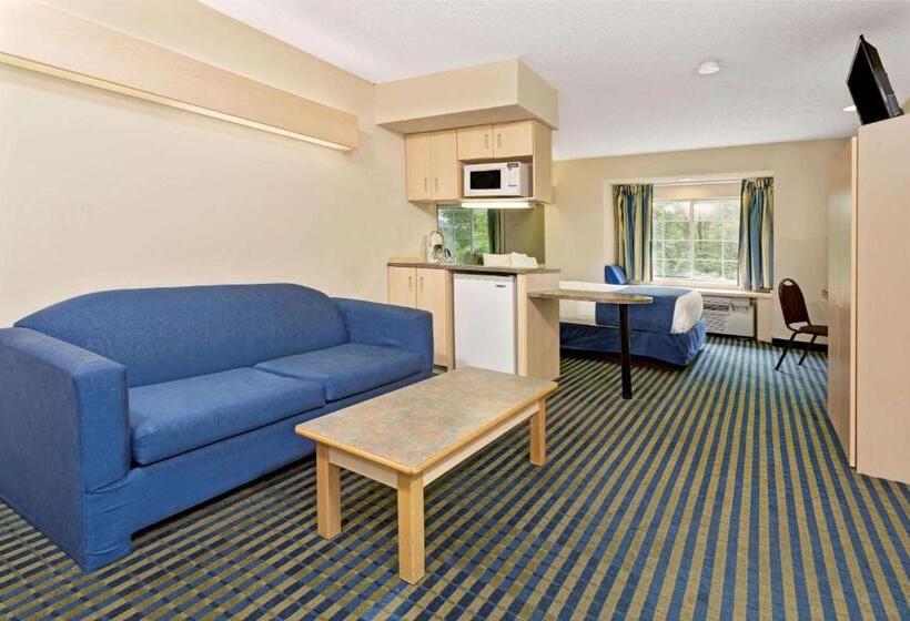 استودیوی استاندارد, Microtel Inn & Suites By Wyndham Florence/cincinnati Airpo