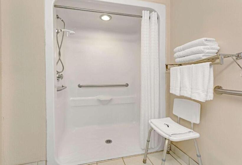 اتاق استاندارد برای معلولان, Microtel Inn & Suites By Wyndham Florence/cincinnati Airpo