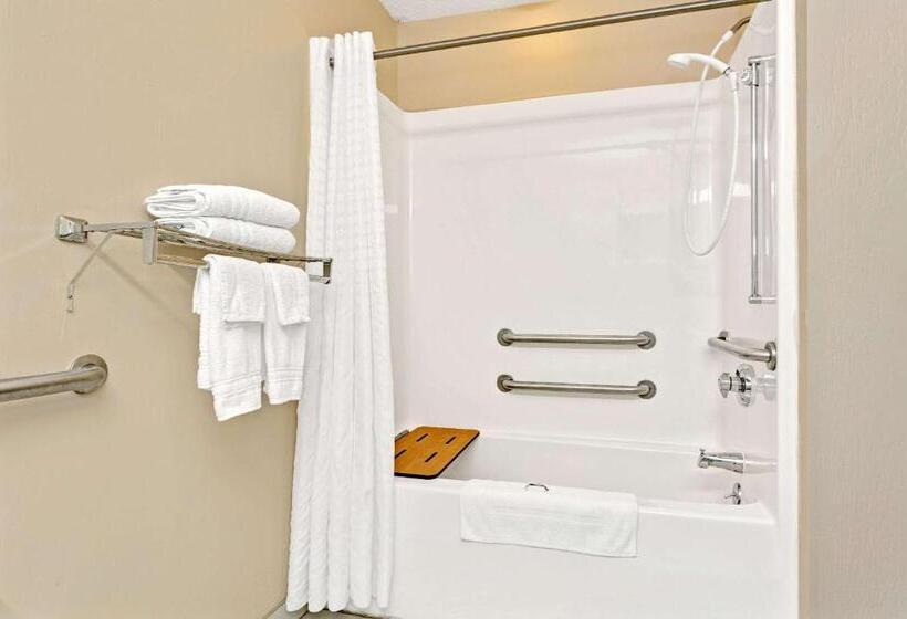 اتاق دلوکس مخصوص معلولین, Microtel Inn & Suites By Wyndham Florence/cincinnati Airpo