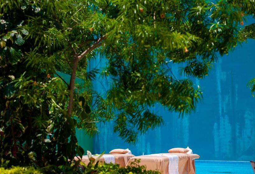 سوییت خانوادگی, South Shore Villa Armonia Luxury Boutique