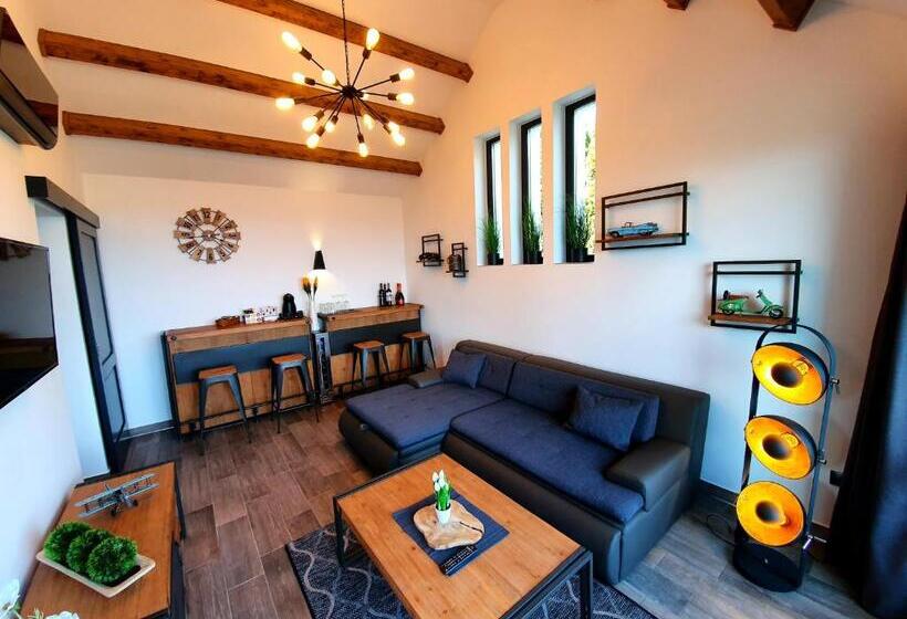 اتاق سوپریور با تخت بزرگ, Bagoly Wellness Apartman