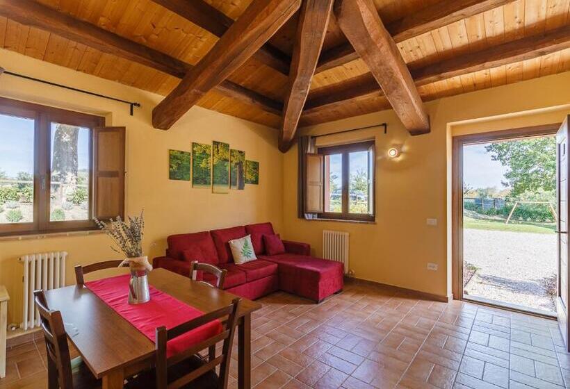 Апартаменты 1 Спальня, Agriturismo Casale San Lorenzo