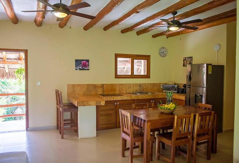 آپارتمان سوپریور 1 خوابه, Holbox Deluxe Apartments