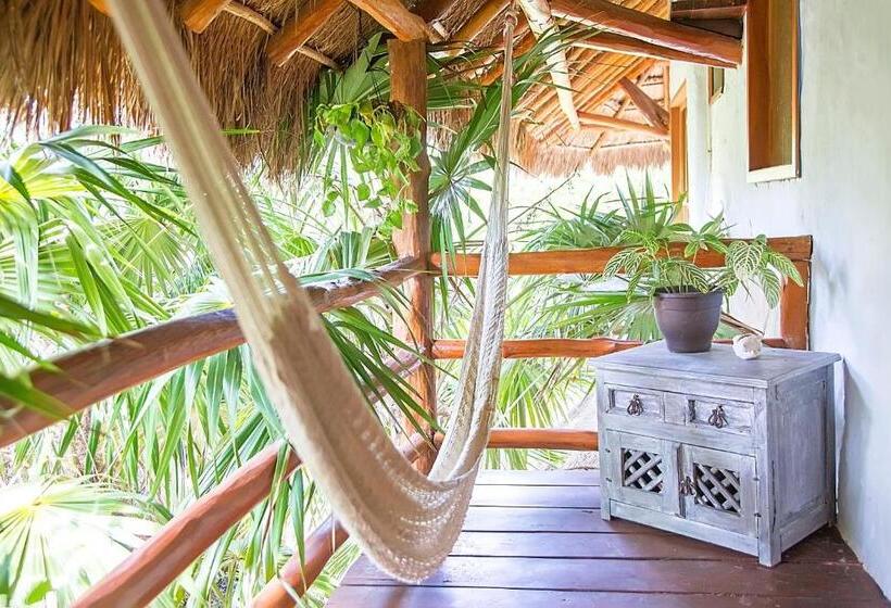 آپارتمان سوپریور 1 خوابه, Holbox Deluxe Apartments