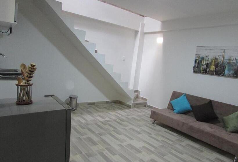 آپارتمان دوبلکس 1 خوابه, Sgreen Duplex Apartments I