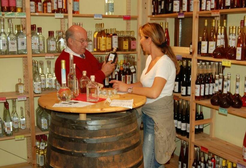 Студия Стандарт, Ehrenmättlehof Faißt