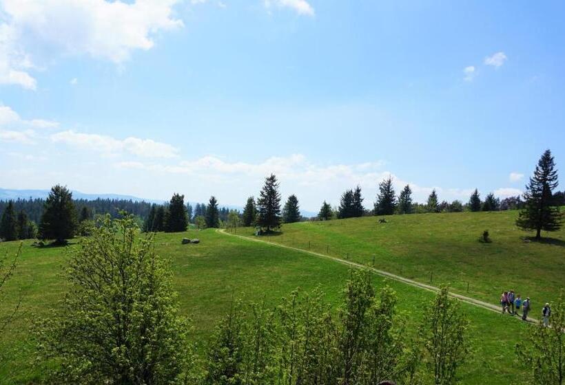 Апартаменты 1 Спальня, Ehrenmättlehof Faißt
