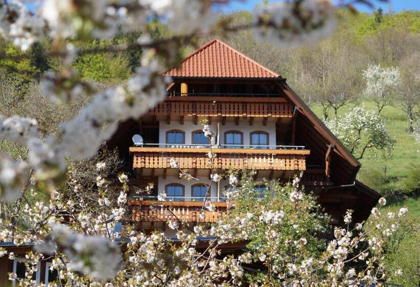 Студия Стандарт, Ehrenmättlehof Faißt