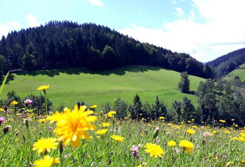 Апартаменты 1 Спальня, Ehrenmättlehof Faißt