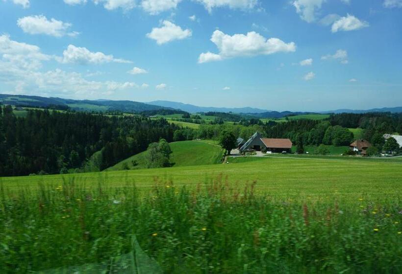 Апартаменты Deluxe 1 Спальня, Ehrenmättlehof Faißt