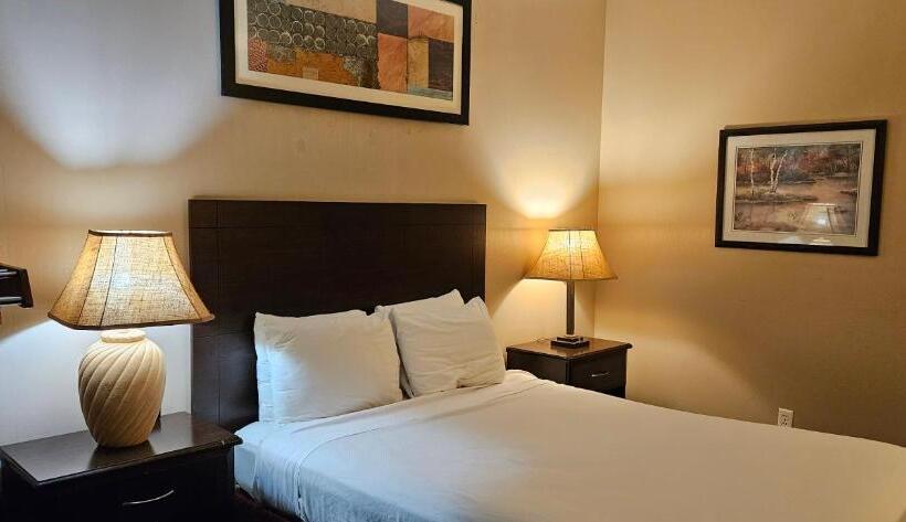 اتاق استاندارد برای معلولان, Bellis Inn