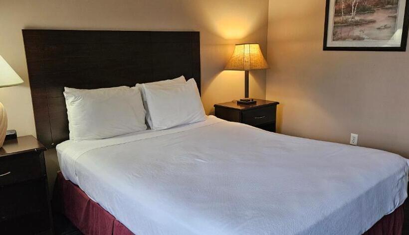 اتاق استاندارد برای معلولان, Bellis Inn